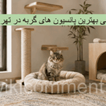 بهترین پانسیون گربه در تهران
