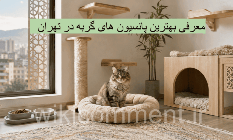 بهترین پانسیون گربه در تهران