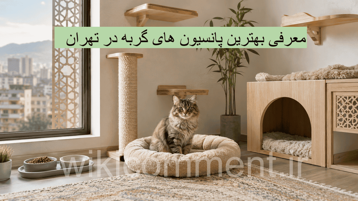 بهترین پانسیون گربه در تهران